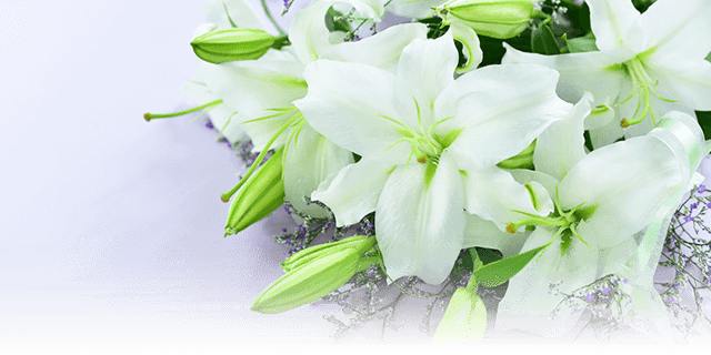 通夜・葬儀は行わないシンプルなお葬式 火葬式プラン